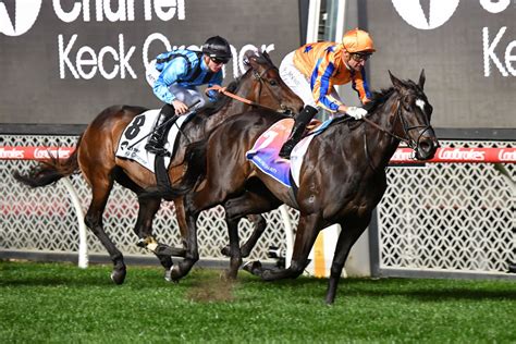 moir stakes odds|Moir Stakes 2023: When is it, how to watch, tickets, prize money, .